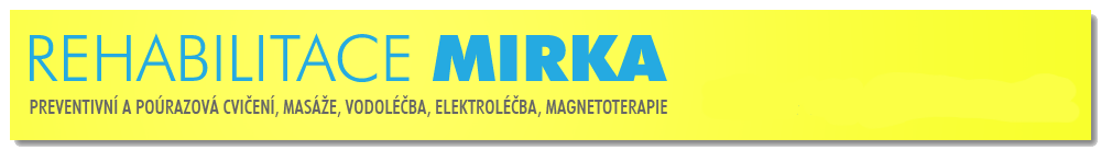 Primary Raster logo